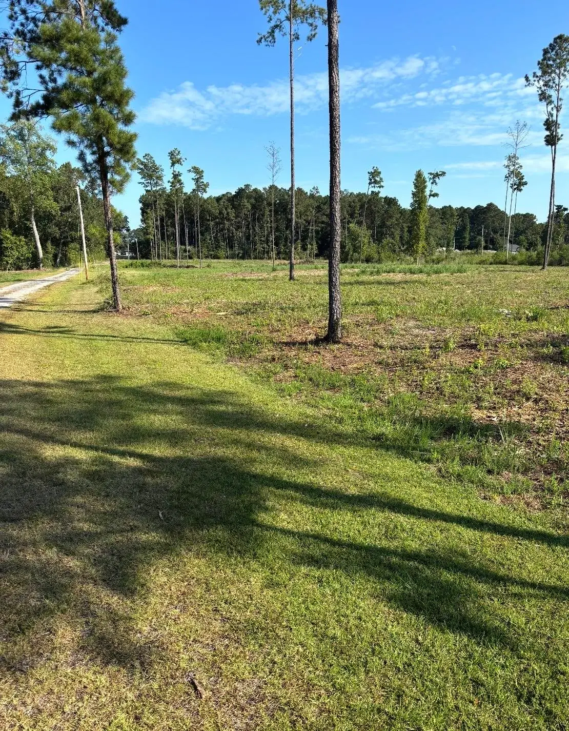 TBD Cane Branch Church Rd., Conway, SC 29527 - #1