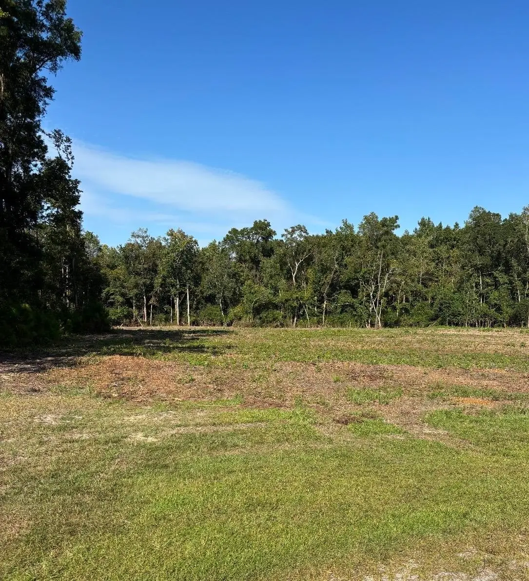 TBD Cane Branch Church Rd., Conway, SC 29527 - #1