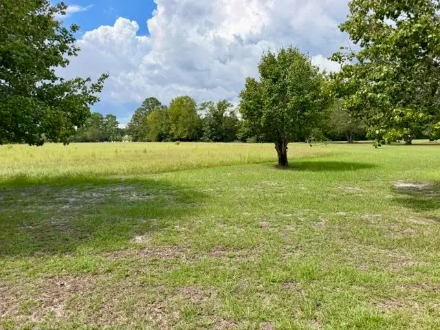 TBD Holly View Ln., Loris, SC 29569 - #3