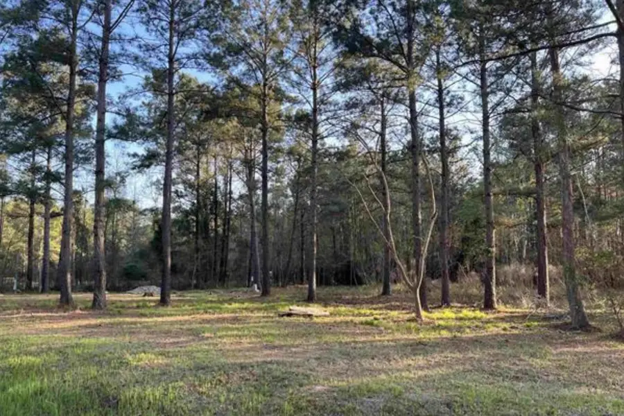 2108 Lees Landing Circle, Conway, SC 29526 - #2