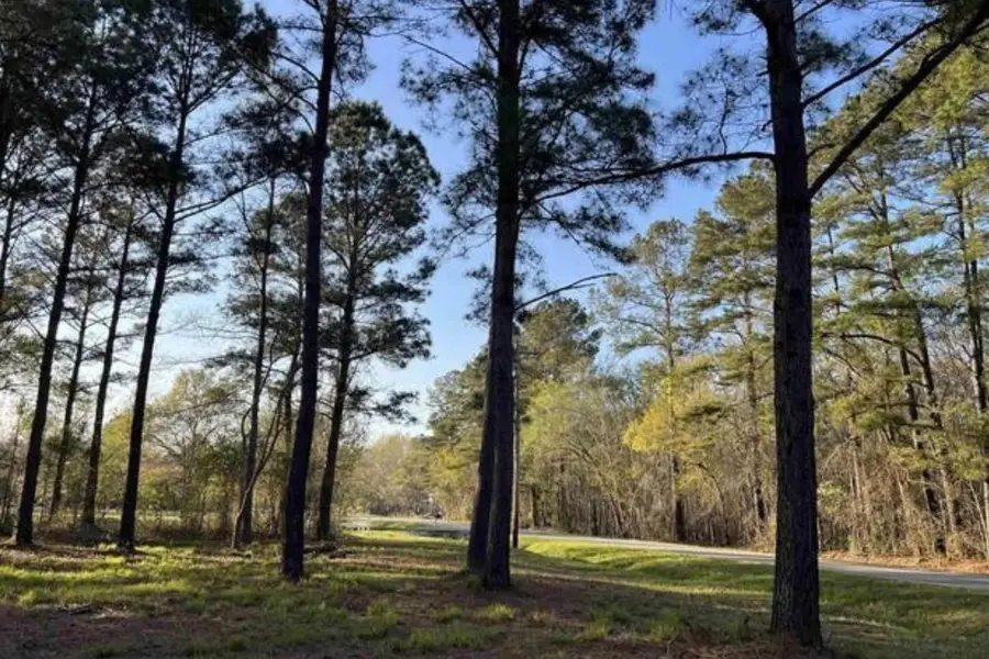 2108 Lees Landing Circle, Conway, SC 29526 - #3