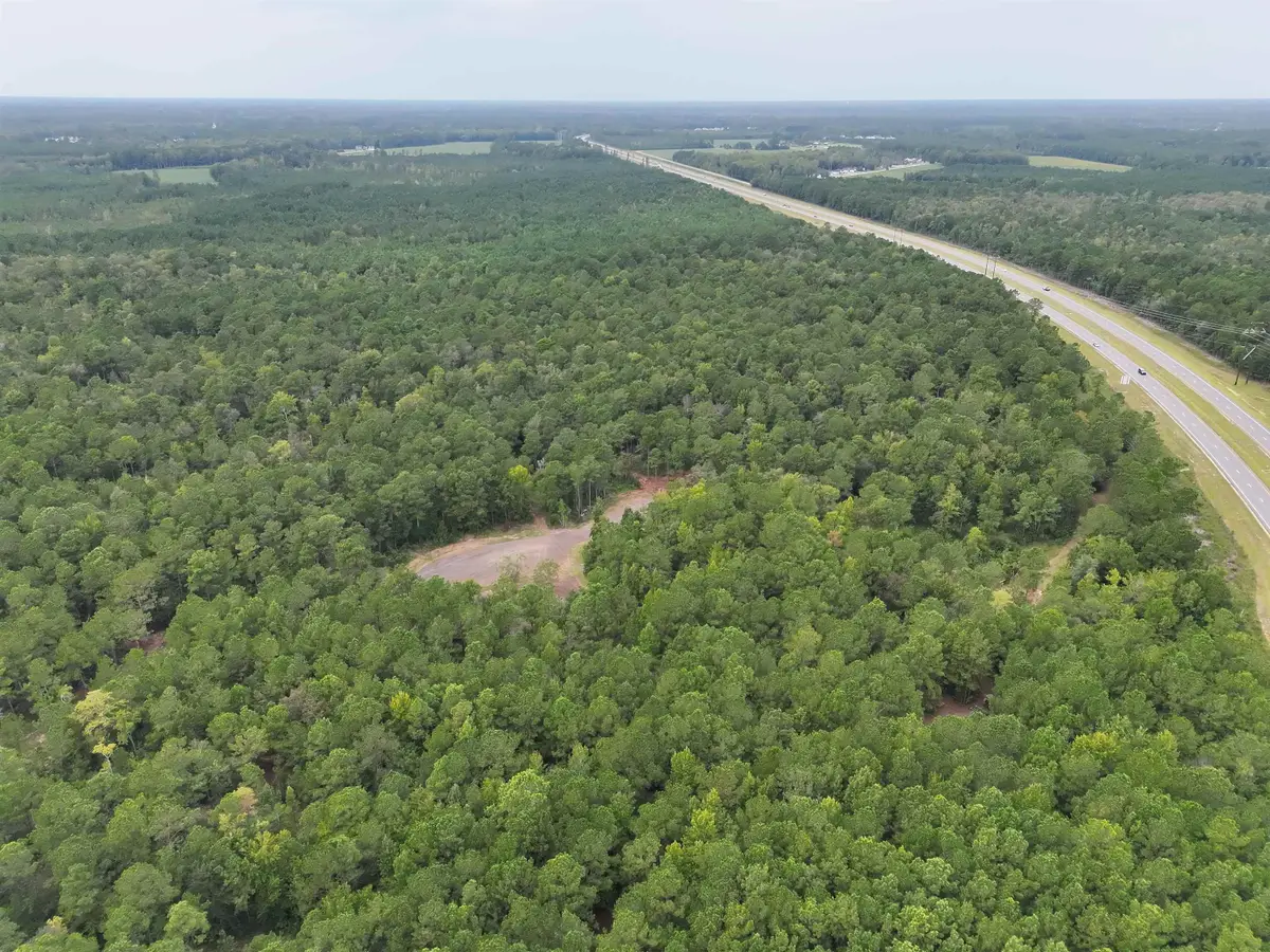 TBD Highway 905, Conway, SC 29526 - #1