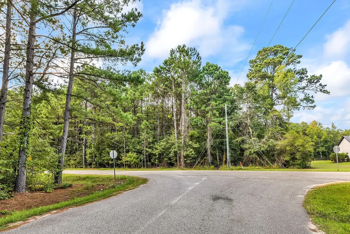 TBD Platt Town Place, Little River, SC 29566 - #1