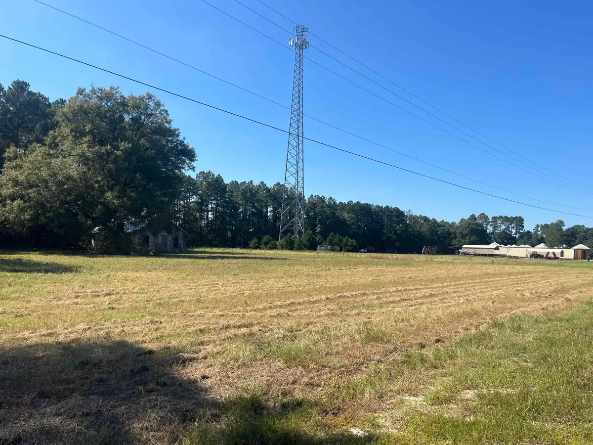 Highway 38, Blenheim, SC 29516 - #1