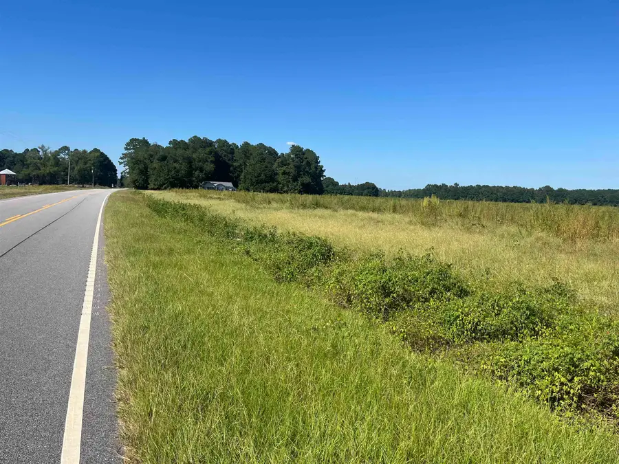 Highway 38, Blenheim, SC 29516 - #3