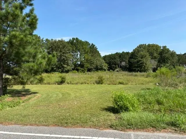 TBD Highway 747, Loris, SC 29569 - #1
