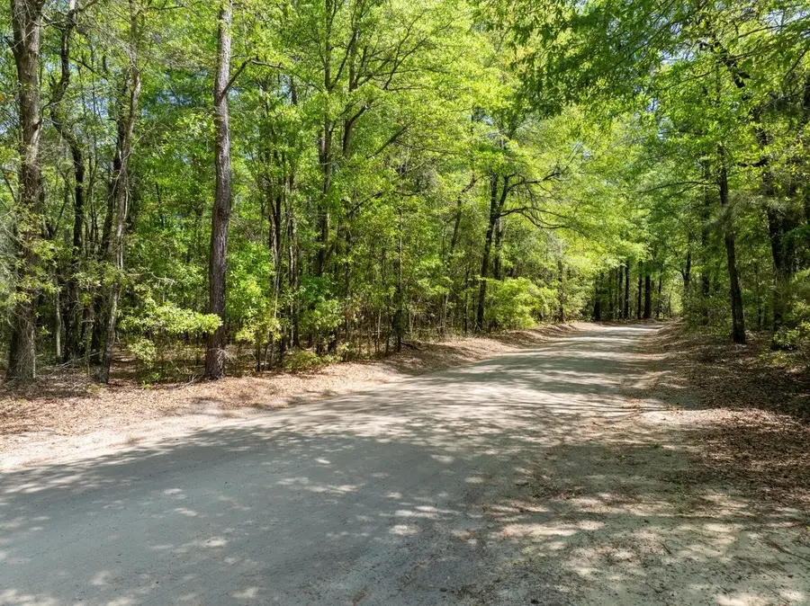 4 Forest Pl., Marion, SC 29571 - #2