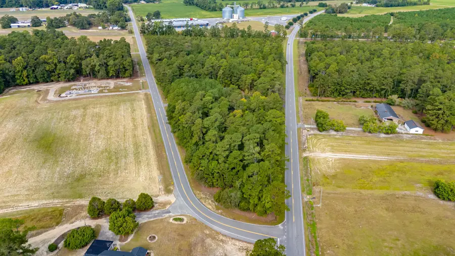 TBD Highway 917, Nichols, SC 29581 - #2