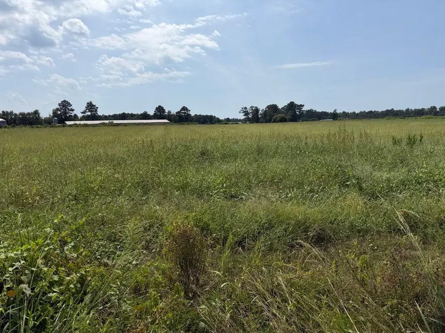 TBD B And S Rd., Loris, SC 29569 - #2