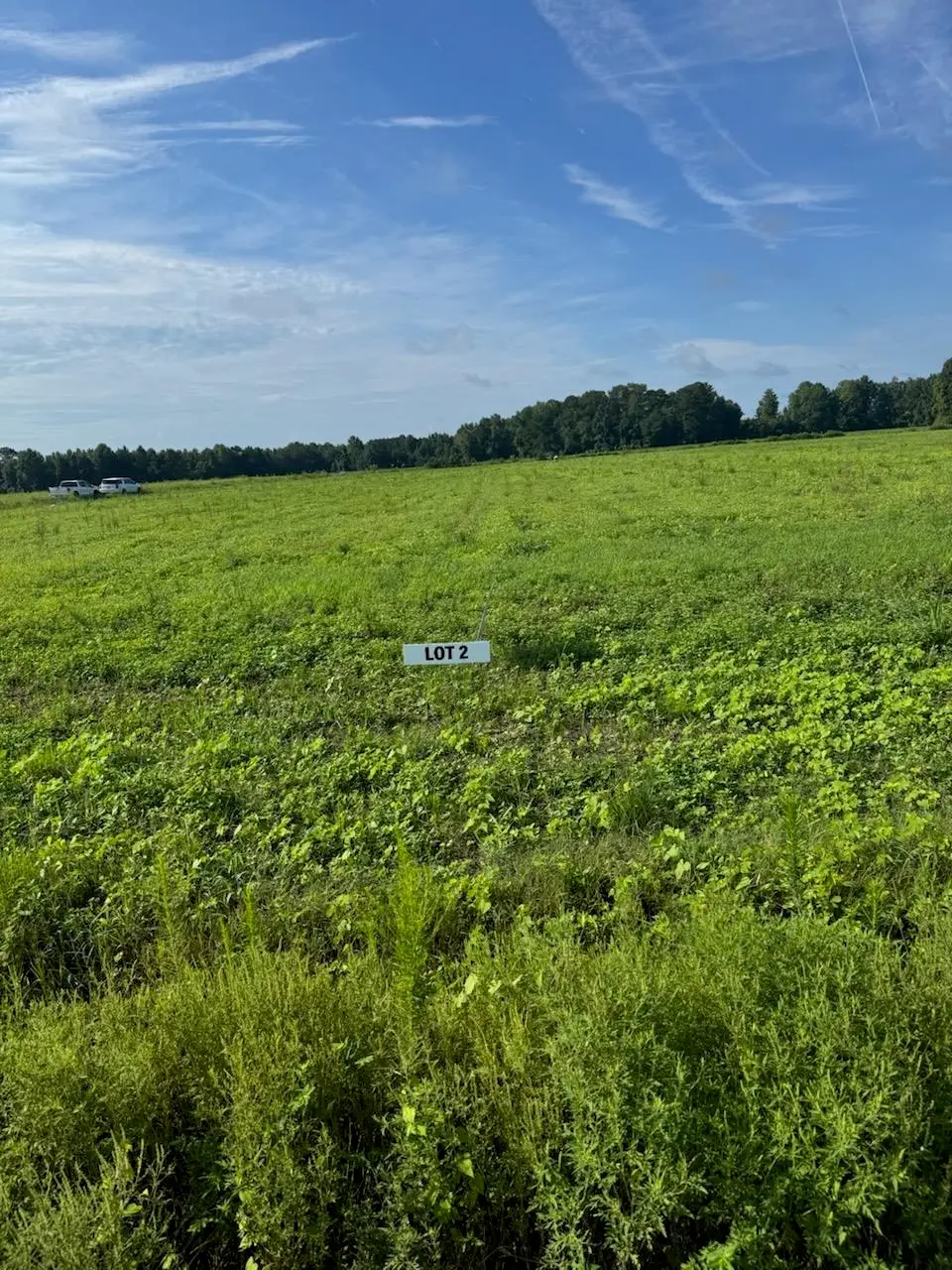 2100-2 York Rd, Green Sea, SC 29545 - #1