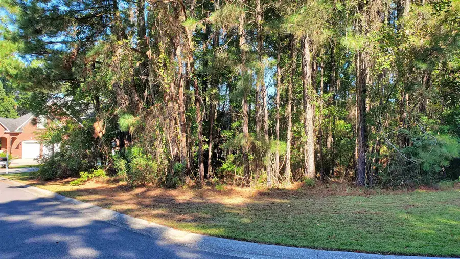131 Waterhall Dr., Murrells Inlet, SC 29576 - #3