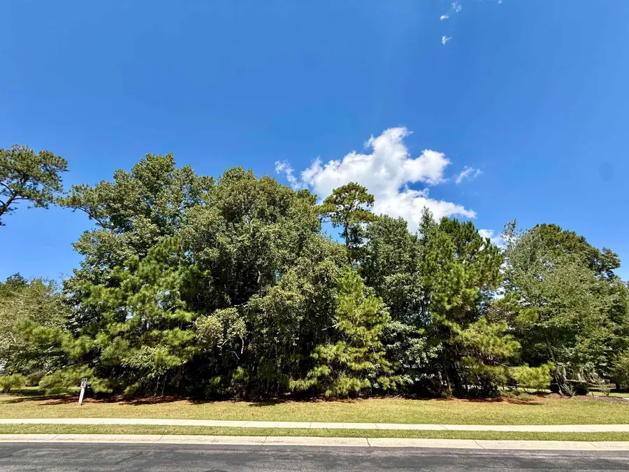 155 Low Country Loop, Murrells Inlet, SC 29576 - #2