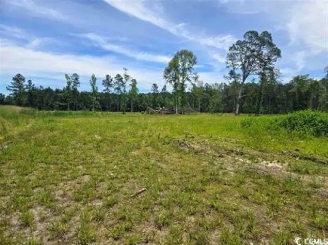 TBD Mount Olive Church Rd., Green Sea, SC 29545 - #2
