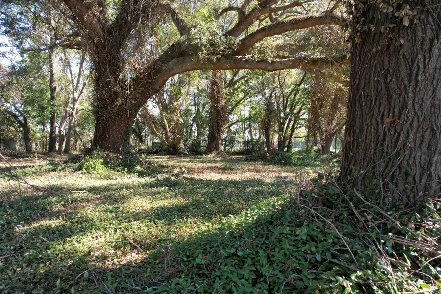 Lot 2 - Sumter Hwy., Kingstree, SC 29556 - #2