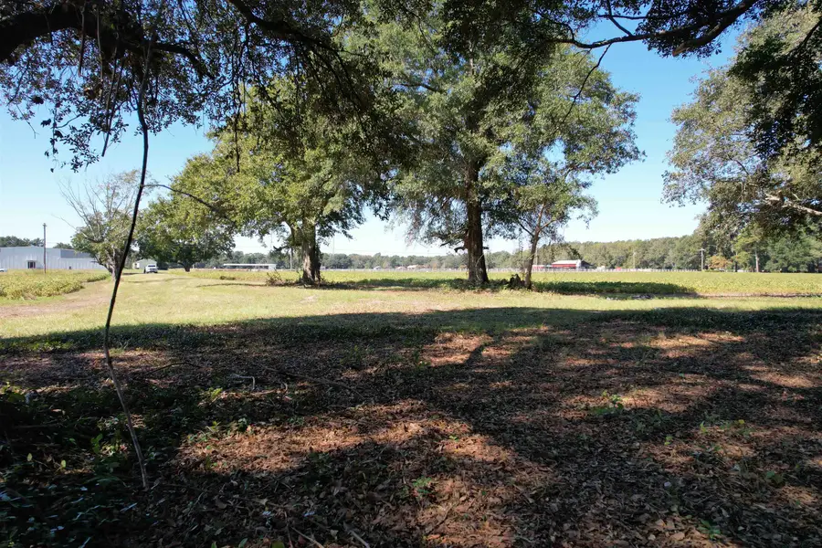 Lot 2 - Sumter Hwy., Kingstree, SC 29556 - #3