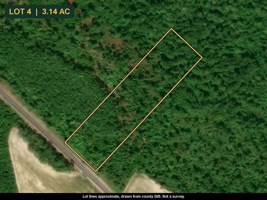 TBD Bellaire Dr., Nichols, SC 29581 - #2