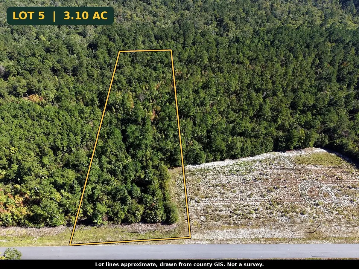 TBD Bellaire Dr., Nichols, SC 29581 - #1