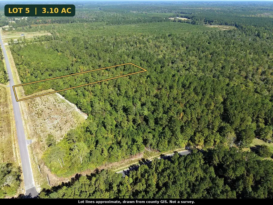 TBD Bellaire Dr., Nichols, SC 29581 - #3