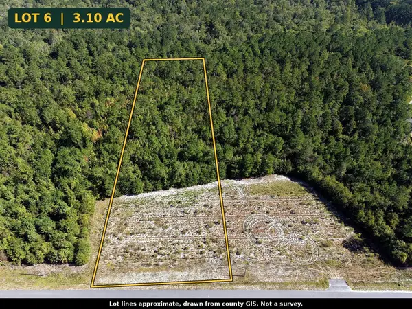 TBD Bellaire Dr., Nichols, SC 29581