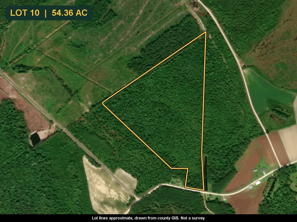 TBD Maplewild Rd., Nichols, SC 29581 - #1