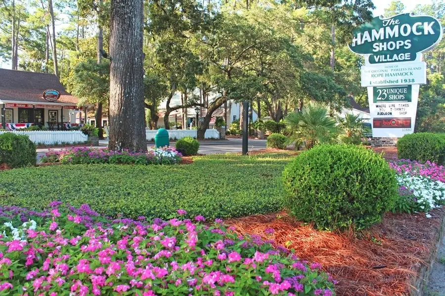 50 Grackle Ln., Pawleys Island, SC 29585 - #3