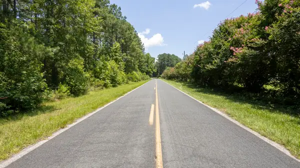 0 Tom Cribb Rd., Hemingway, SC 29554