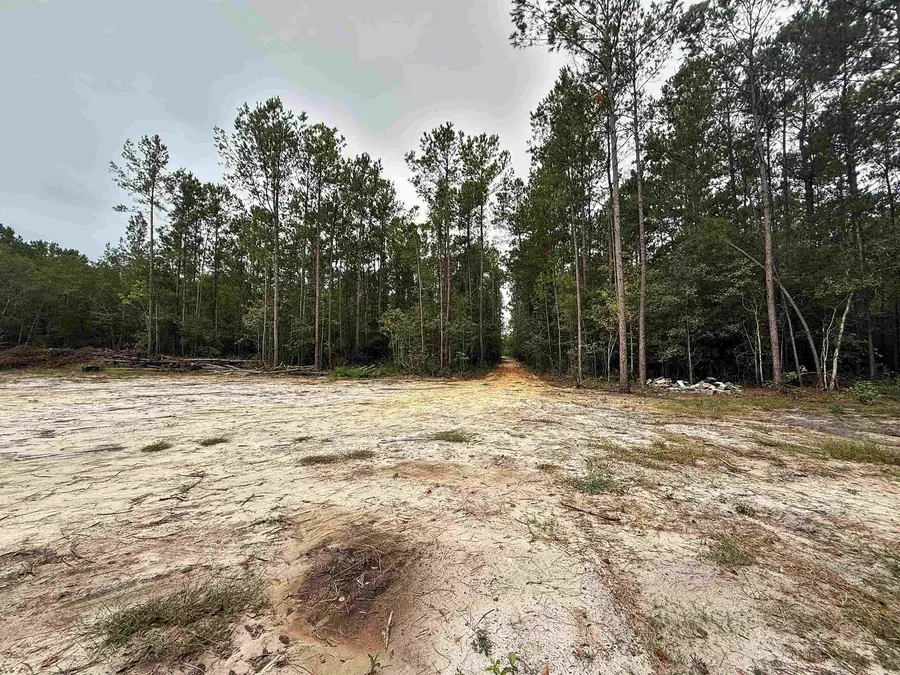 1682 Carriage Dr., Loris, SC 29569 - #2