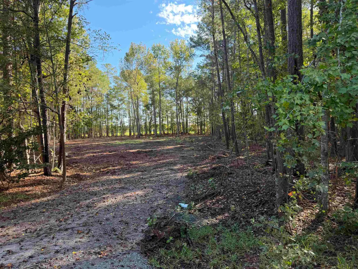 Tract 1 Wise Rd., Conway, SC 29526 - #1