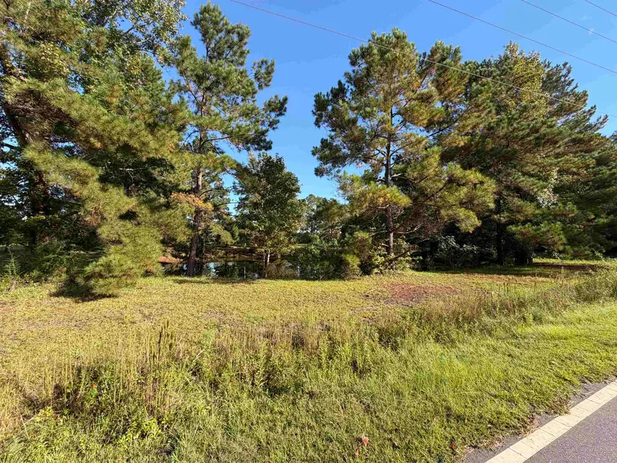 Tract 2 Wise Rd., Conway, SC 29526 - #2