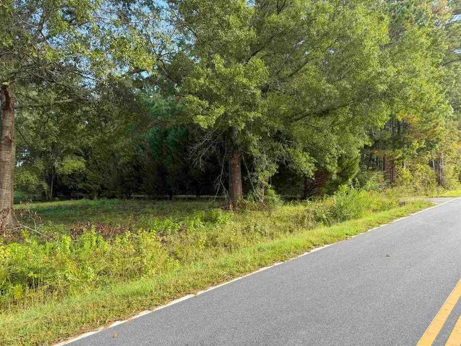 Tract 3 Wise Rd., Conway, SC 29526 - #3
