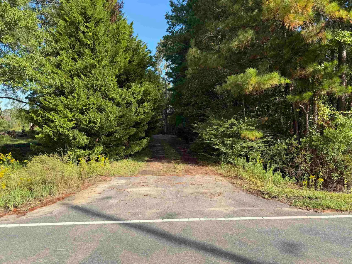 Tract 4 Wise Rd., Conway, SC 29526 - #1