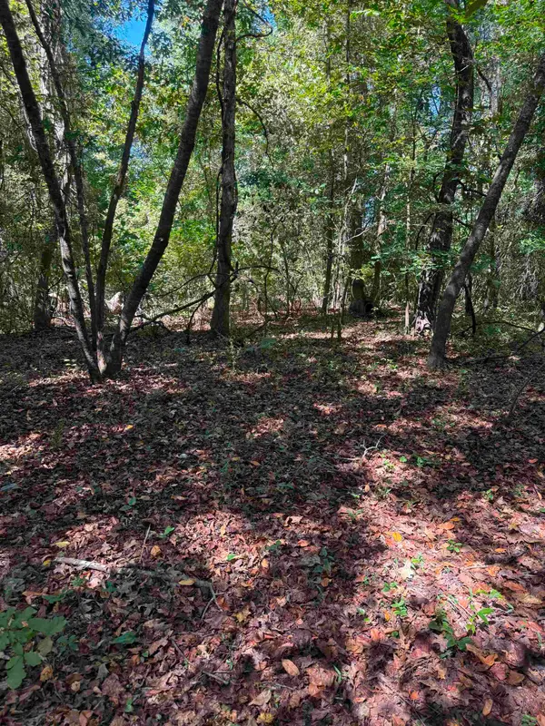 TBD Tyler Rd., Marion, SC 29571