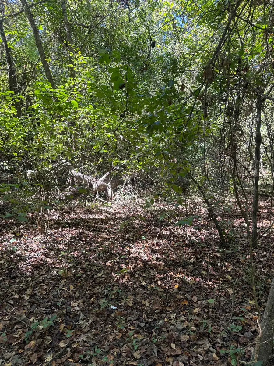 TBD Tyler Rd., Marion, SC 29571 - #2