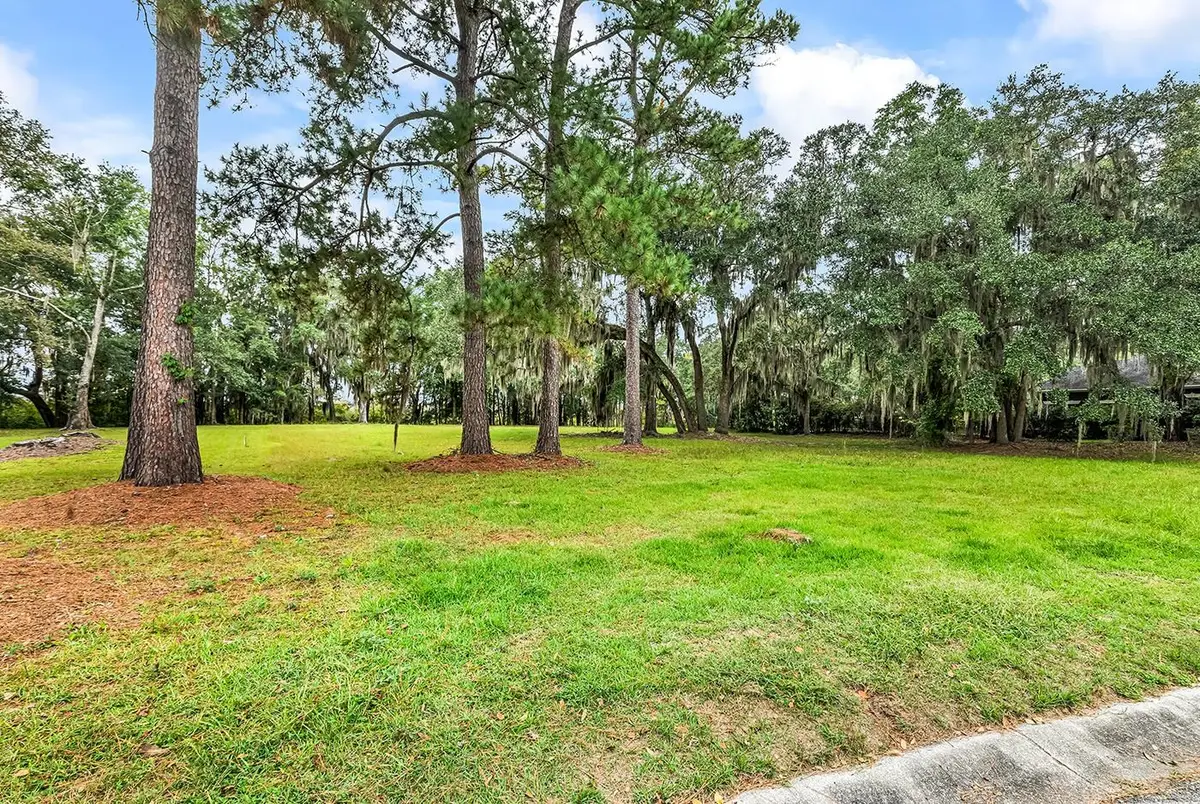 602 Chapman Loop, Pawleys Island, SC 29585 - #1