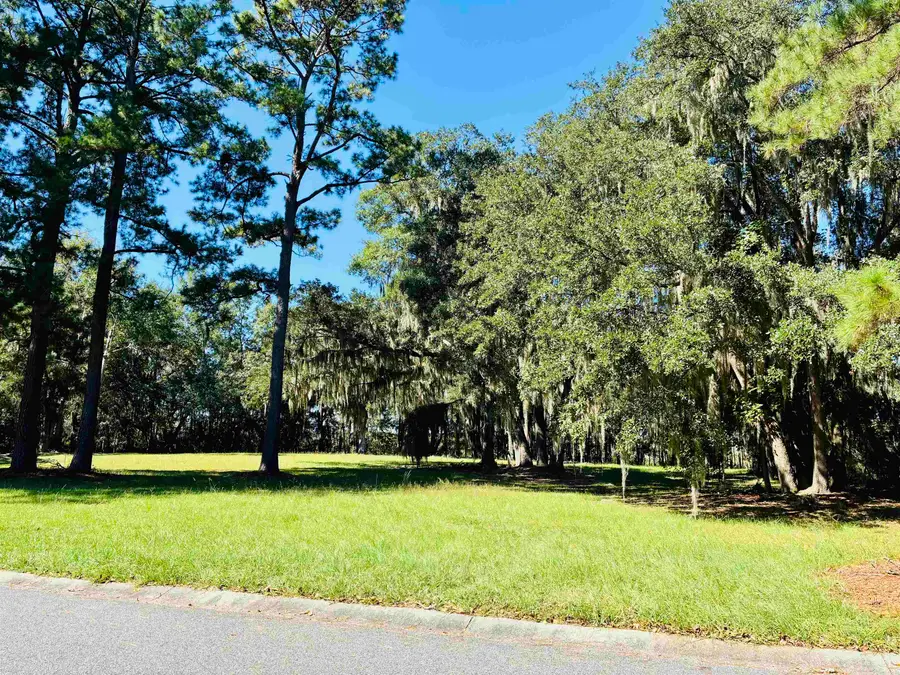 602 Chapman Loop, Pawleys Island, SC 29585 - #3