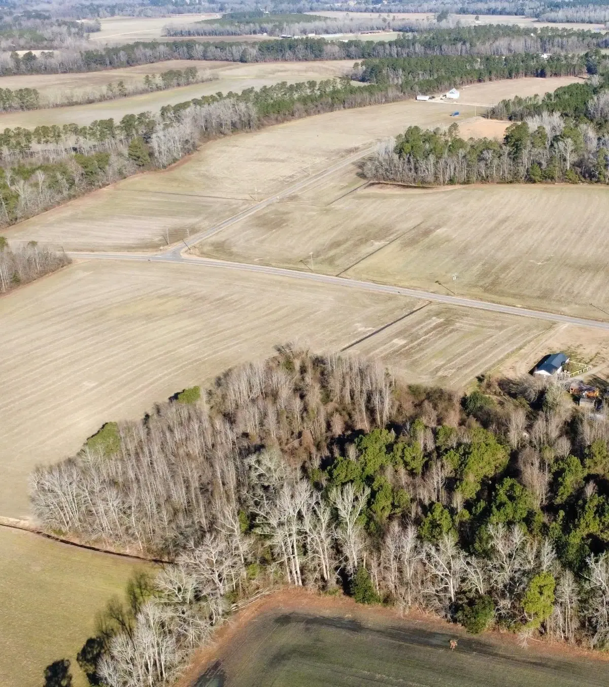 TBD Pinckney Rd., Nichols, SC 29581 - #1