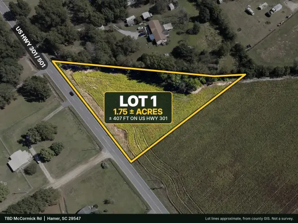 TBD Highway 301, Hamer, SC 29547