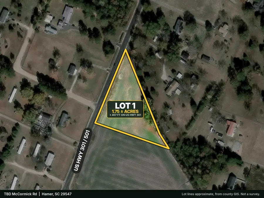 TBD Highway 301, Hamer, SC 29547 - #2