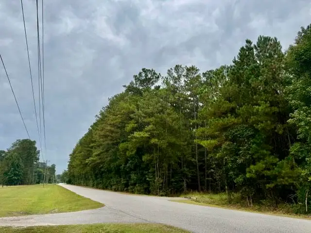 TBD Kourtni Ln., Conway, SC 29527 - #1