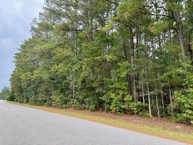 TBD Kourtni Ln., Conway, SC 29527 - #2