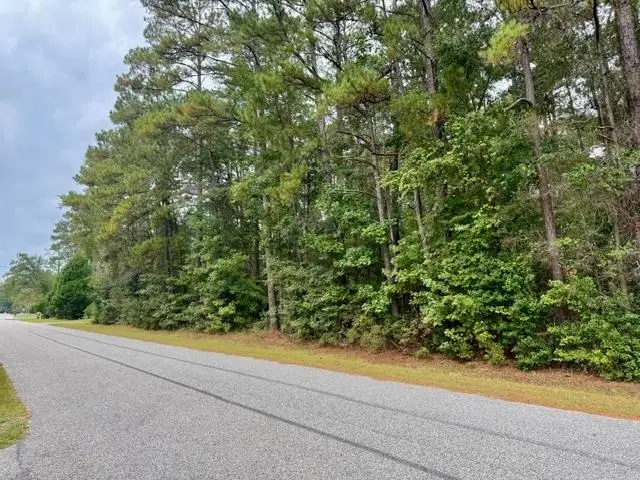 TBD Kourtni Ln., Conway, SC 29527 - #3