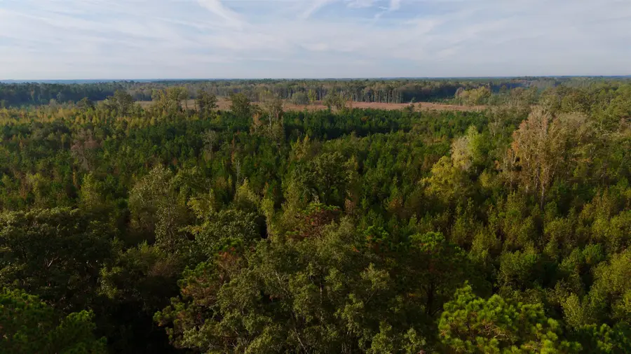 TBD Terrell's Bay Rd., Marion, SC 29571 - #3