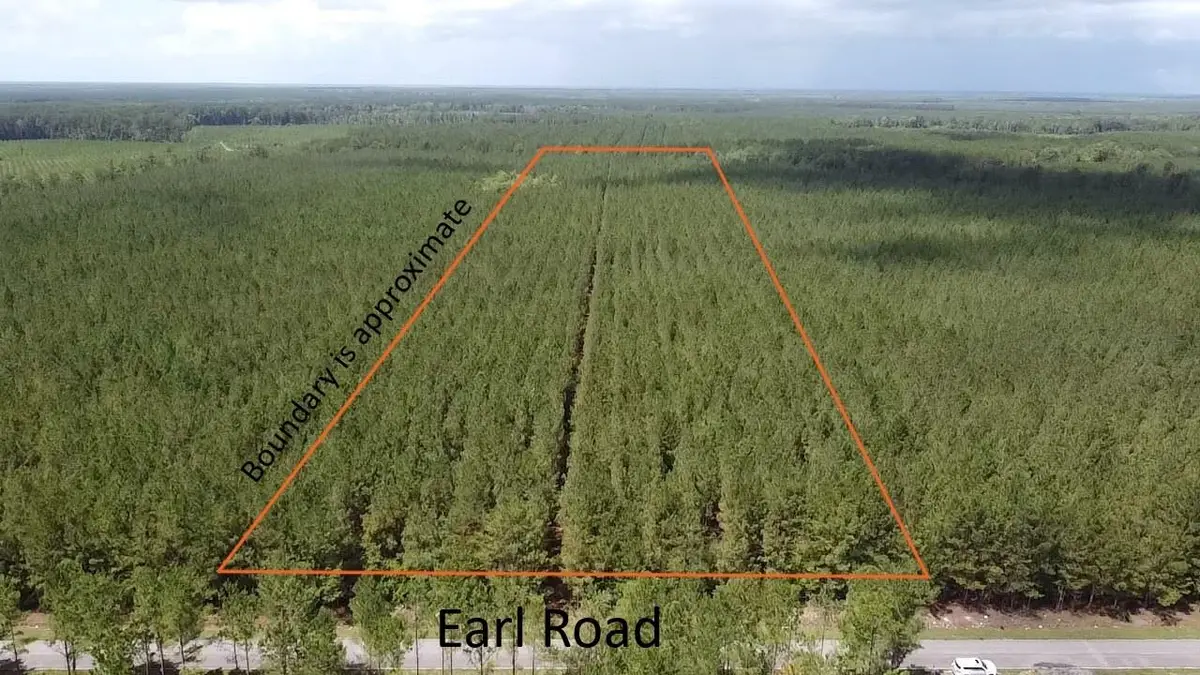 Tract B Earle Rd., Andrews, SC 29510 - #1