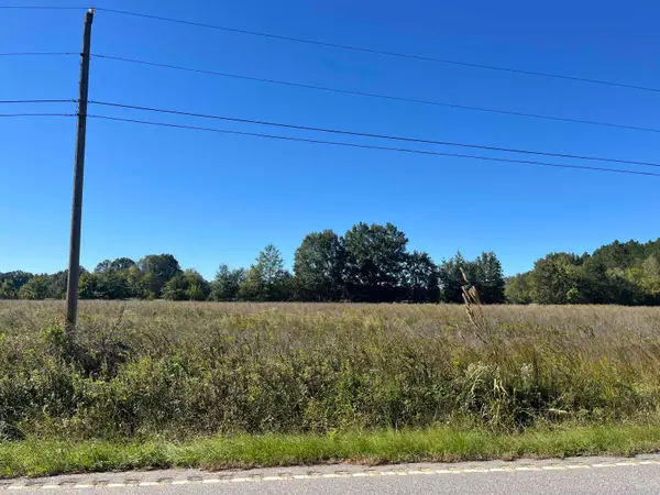 Screwpin Rd, Blenheim, SC 29516