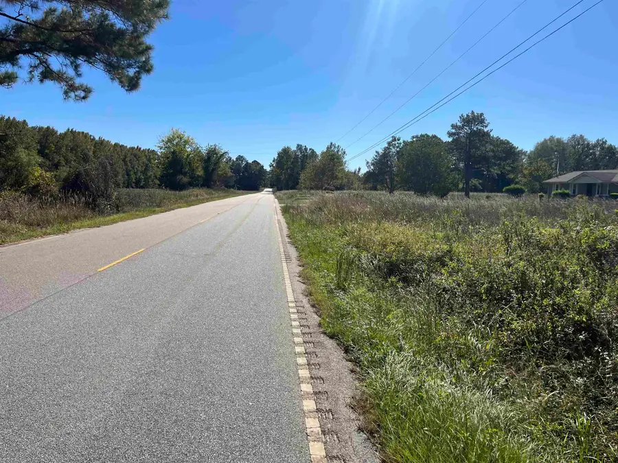 Screwpin Rd, Blenheim, SC 29516 - #3