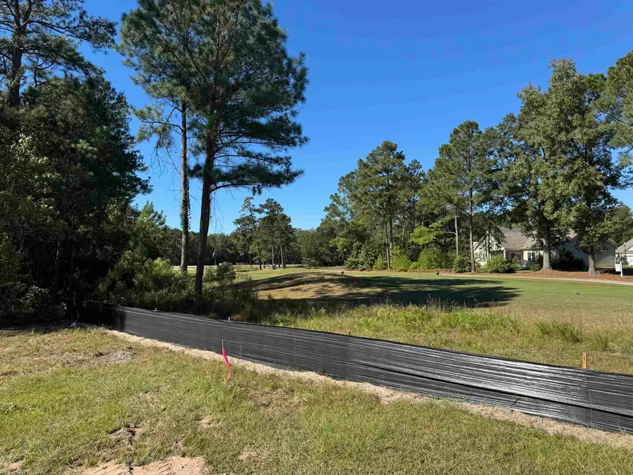 145 Green Valley Way, Loris, SC 29569 - #2