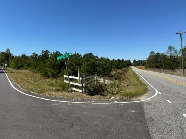 5.0 Acs Old Pee Dee Rd., Georgetown, SC 29440 - #3