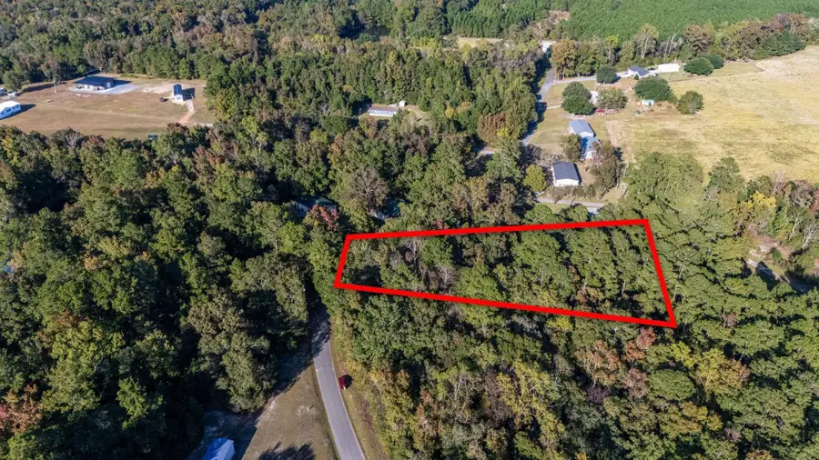 TBD Barnes Rd., Andrews, SC 29510 - #2