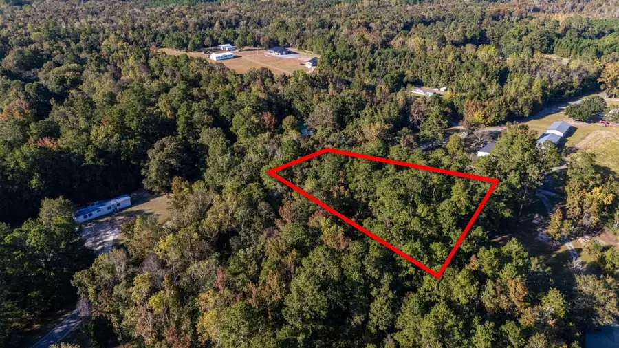 TBD Barnes Rd., Andrews, SC 29510 - #3