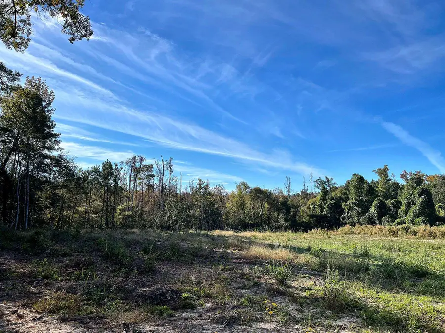 TBD N Highway 905, Longs, SC 29568 - #2